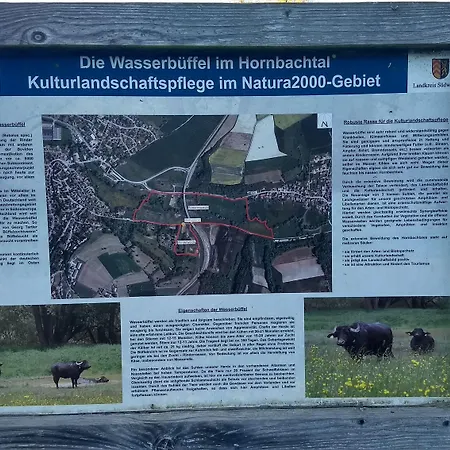 Gaestehaus Gebauer 펜션 호른바흐