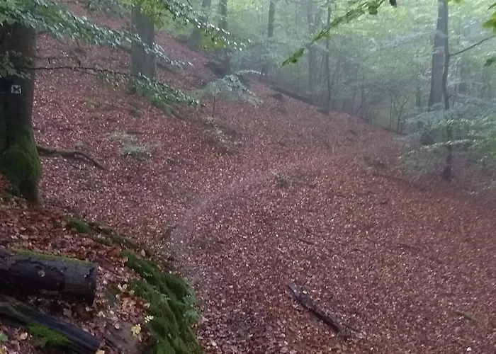 Gaestehaus Gebauer Hornbach